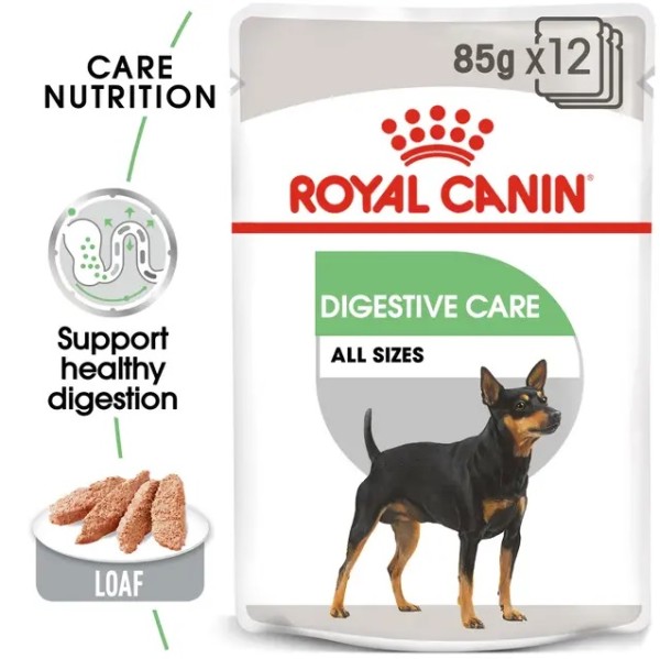 Royal Canin Dog Digestive Care Loaf - Пълноценен пастет за кучета с чувствителна храносмилателна система